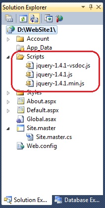jQuery .js files inside of Solution Explorer